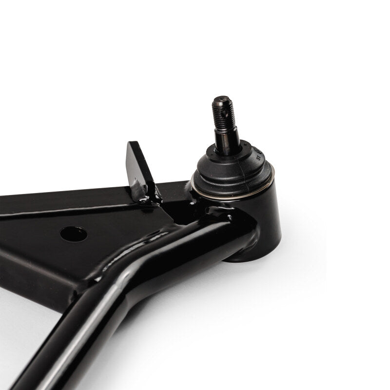 Photo - Close Up