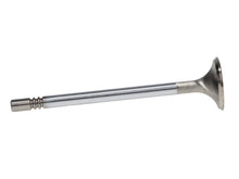 Load image into Gallery viewer, Manley Ford Modular Coyote 5.0L Gen III Race Master Series Intake Valve Set - 1.485in Dia