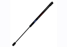 Load image into Gallery viewer, Photo - Unmounted