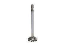 Load image into Gallery viewer, Manley Ford Modular Coyote 5.0L Gen III Race Master Series Intake Valve Set - 1.485in Dia
