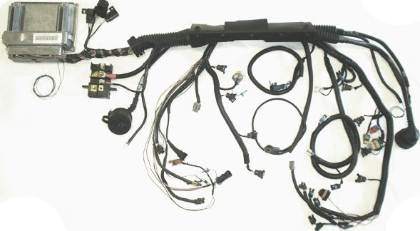 E36 Harness Conversion For LS Powered 3-Series