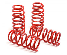 Load image into Gallery viewer, H&amp;R 07-11 BMW 328i Sedan/335i Sedan E90 Race Spring